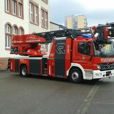 dlk2.jpg